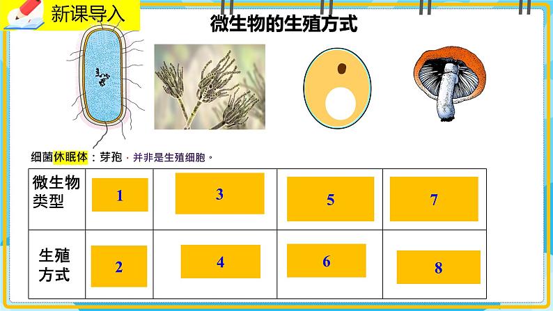 18.1.2《微生物在生物圈中的作用》课件第2页