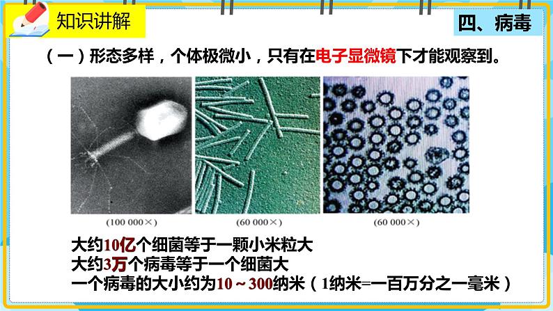 18.1.2《微生物在生物圈中的作用》课件第4页