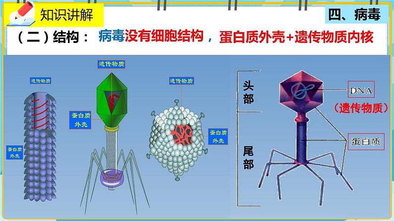 18.1.2《微生物在生物圈中的作用》课件第5页