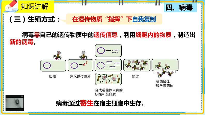 18.1.2《微生物在生物圈中的作用》课件第6页