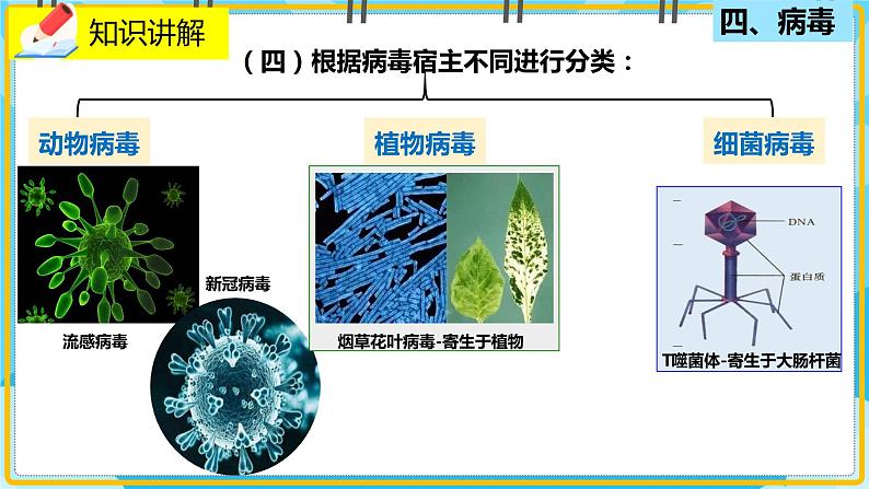 18.1.2《微生物在生物圈中的作用》课件第7页