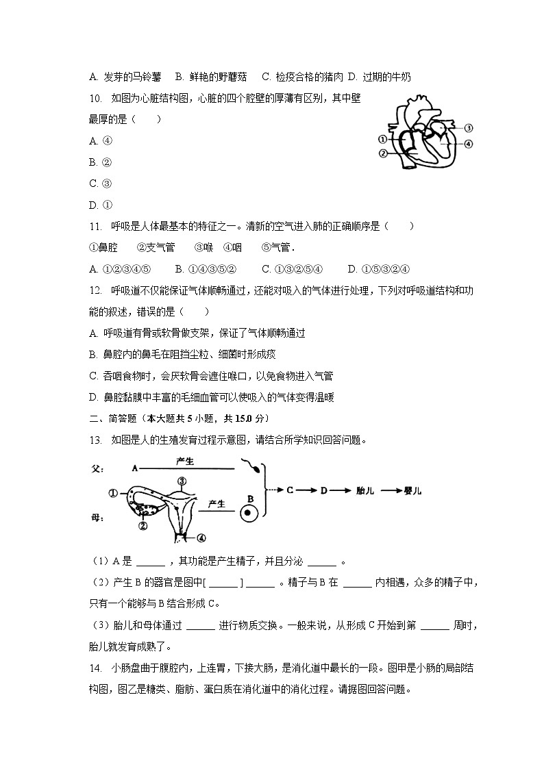 2022-2023学年辽宁省大连市金州区七年级（下）期中生物试卷（含解析）02