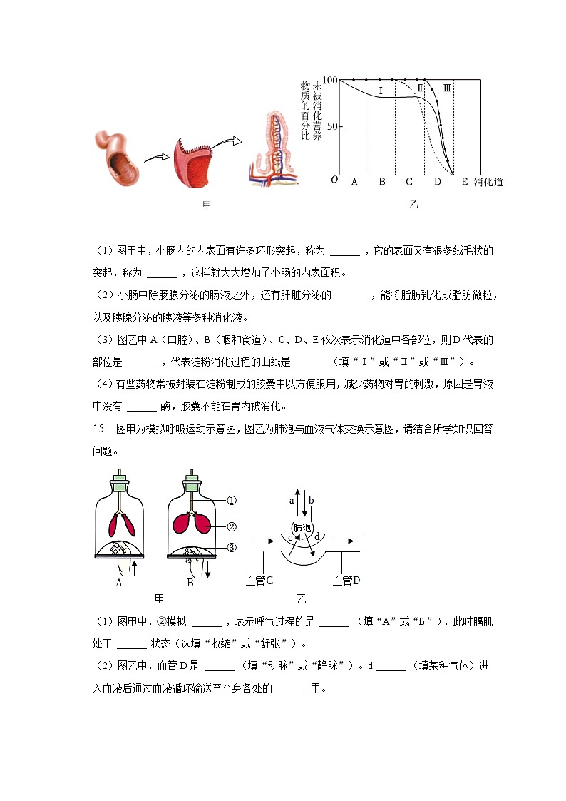2022-2023学年辽宁省大连市金州区七年级（下）期中生物试卷（含解析）03