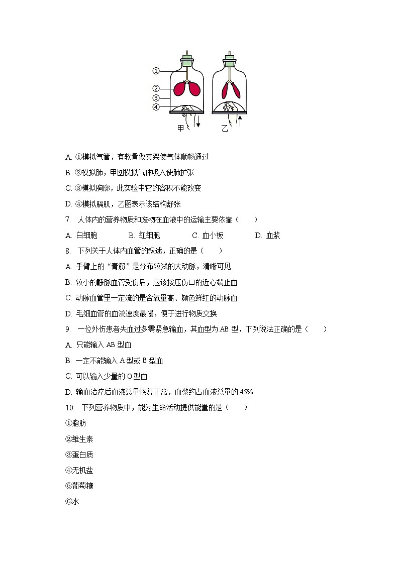 2022-2023学年山东省青岛市即墨区七年级（下）期中生物试卷（含解析）02