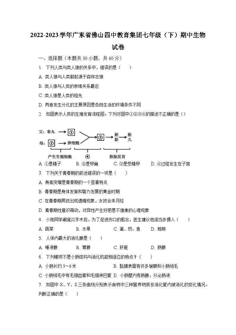 2022-2023学年广东省佛山四中教育集团七年级（下）期中生物试卷（含解析）01