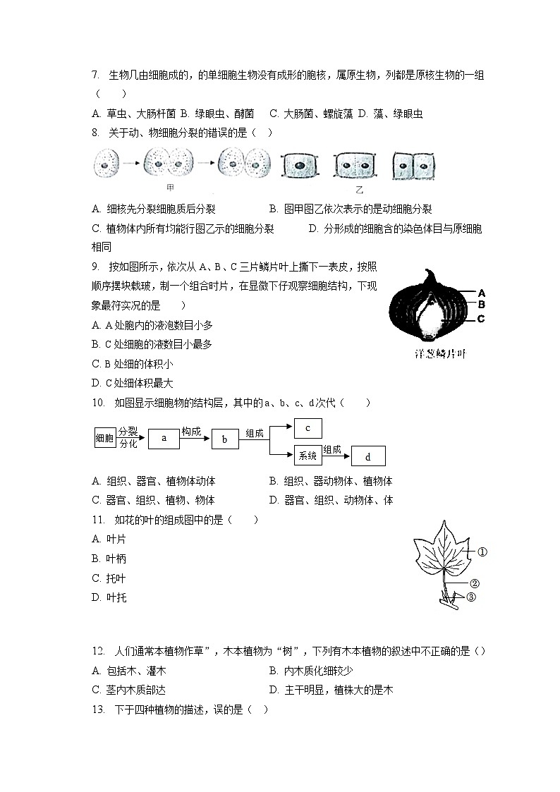 2022-2023学年河北省唐山市路南区七年级（上）期末生物试卷（含解析）02