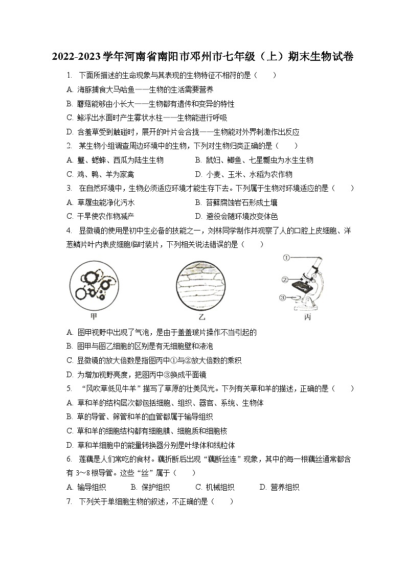 2022-2023学年河南省南阳市邓州市七年级（上）期末生物试卷（含解析）第1页