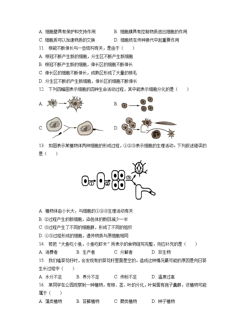 2022-2023学年河南省南阳市南召县七年级（上）期末生物试卷（含解析）03