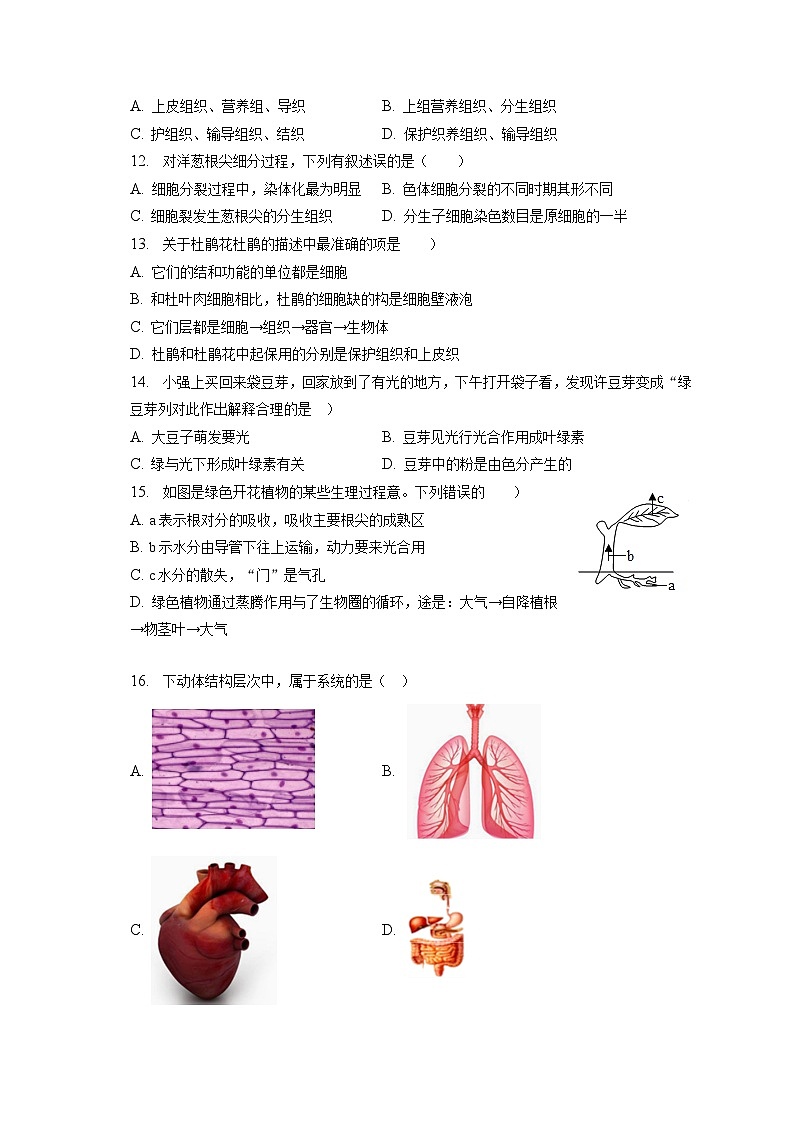 2022-2023学年河南省三门峡市渑池县七年级（上）期末生物试卷（含解析）第2页