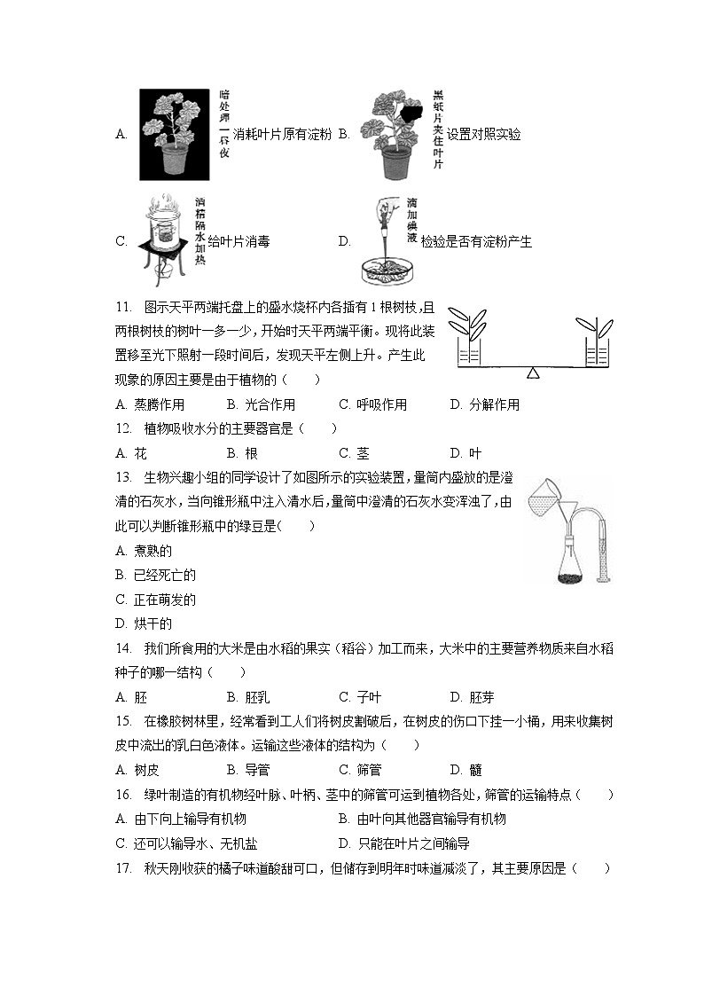 2022-2023学年河南省新乡市辉县市七年级（上）期末生物试卷（含解析）03