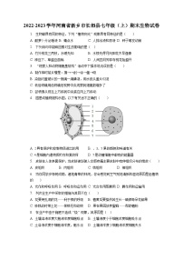 2022-2023学年河南省新乡市长垣县七年级（上）期末生物试卷（含解析）