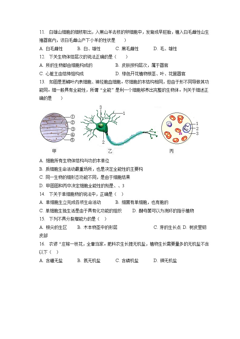 2022-2023学年河南省周口市沈丘县七年级（上）期末生物试卷（含解析）第2页