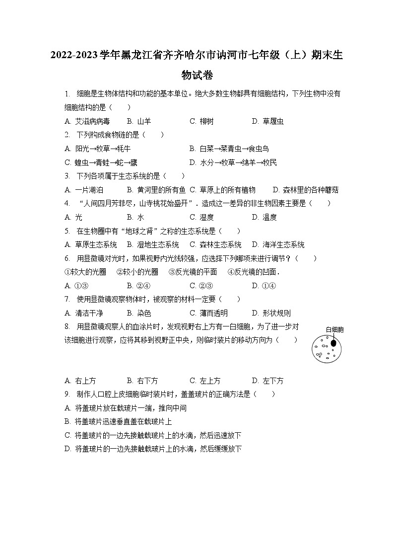 2022-2023学年黑龙江省齐齐哈尔市讷河市七年级（上）期末生物试卷（含解析）01