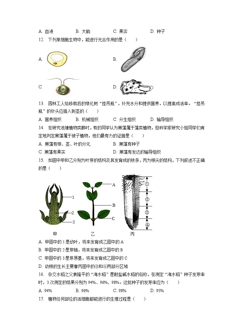 2022-2023学年吉林省长春市朝阳区七年级（上）期末生物试卷（含解析）02