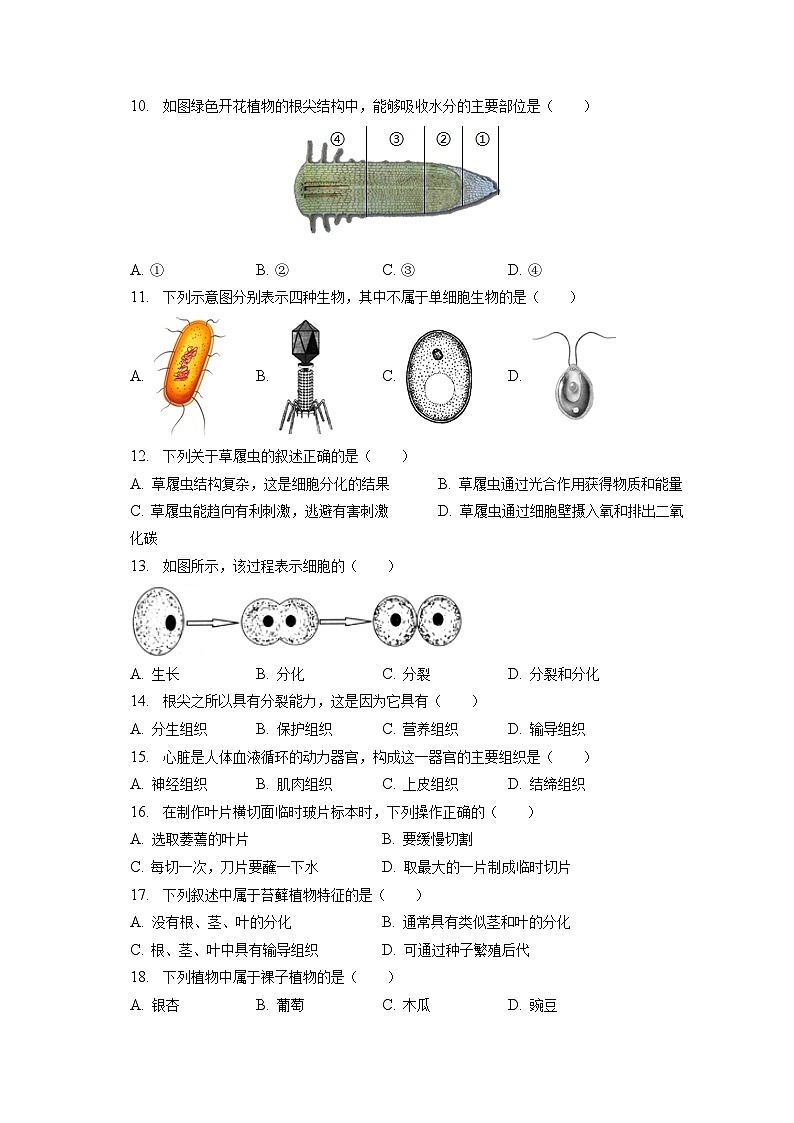 2022-2023学年吉林省长春市宽城区七年级（上）期末生物试卷（含解析）第3页
