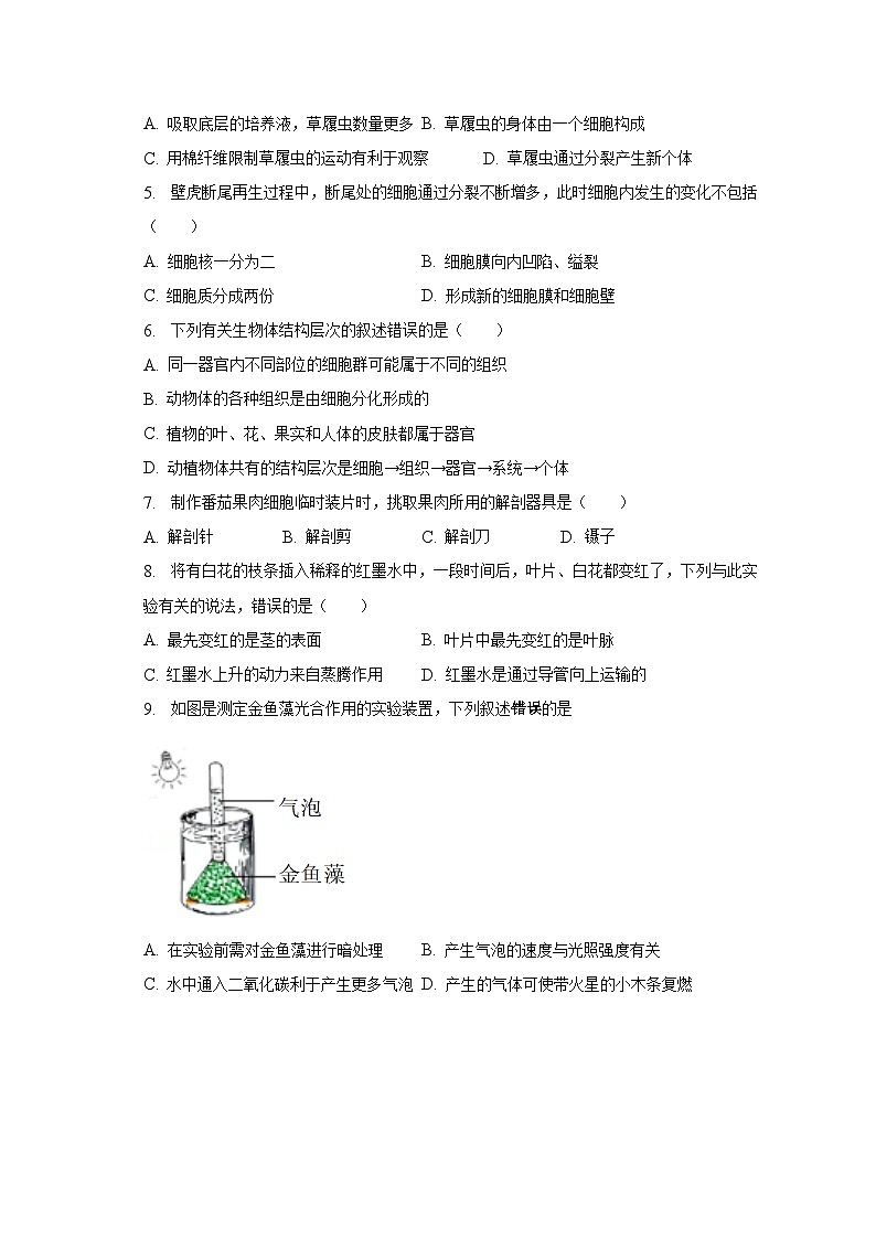 2022-2023学年江苏省盐城市建湖县七年级（上）期末生物试卷（含解析）02