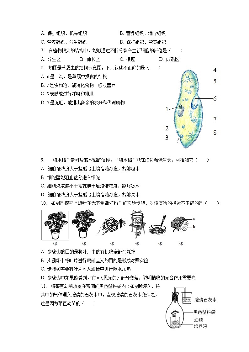 2022-2023学年辽宁省沈阳市皇姑区七年级（上）期末生物试卷（含解析）02