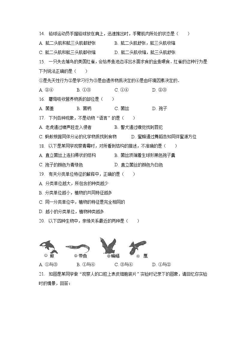 2022-2023学年山东省菏泽市鄄城县七年级（上）期末生物试卷（含解析）03