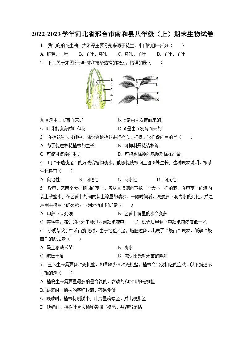 2022-2023学年河北省邢台市南和县八年级（上）期末生物试卷（含解析）01