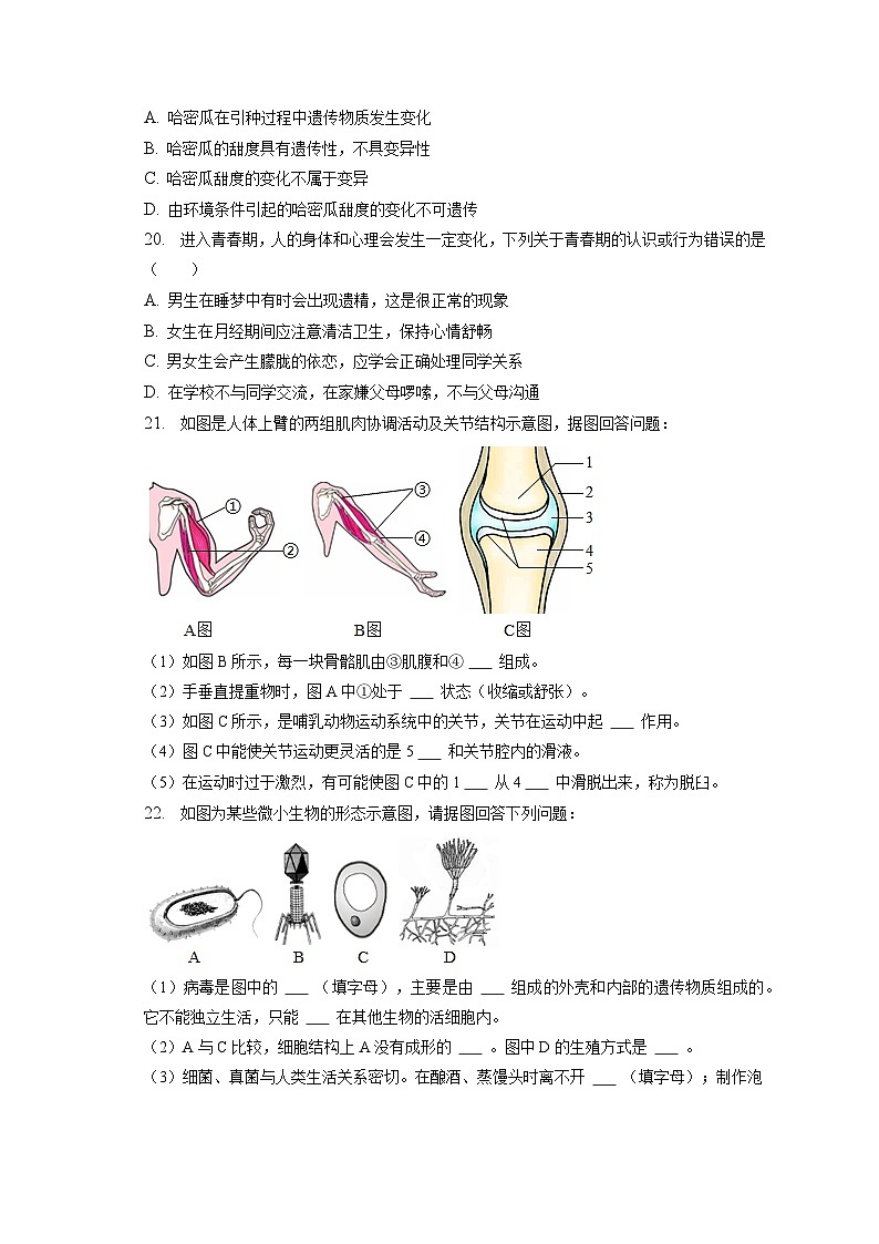 2022-2023学年河南省开封市祥符区八年级（上）期末生物试卷（含解析）03