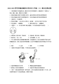 2022-2023学年河南省南阳市邓州市八年级（上）期末生物试卷（含解析）