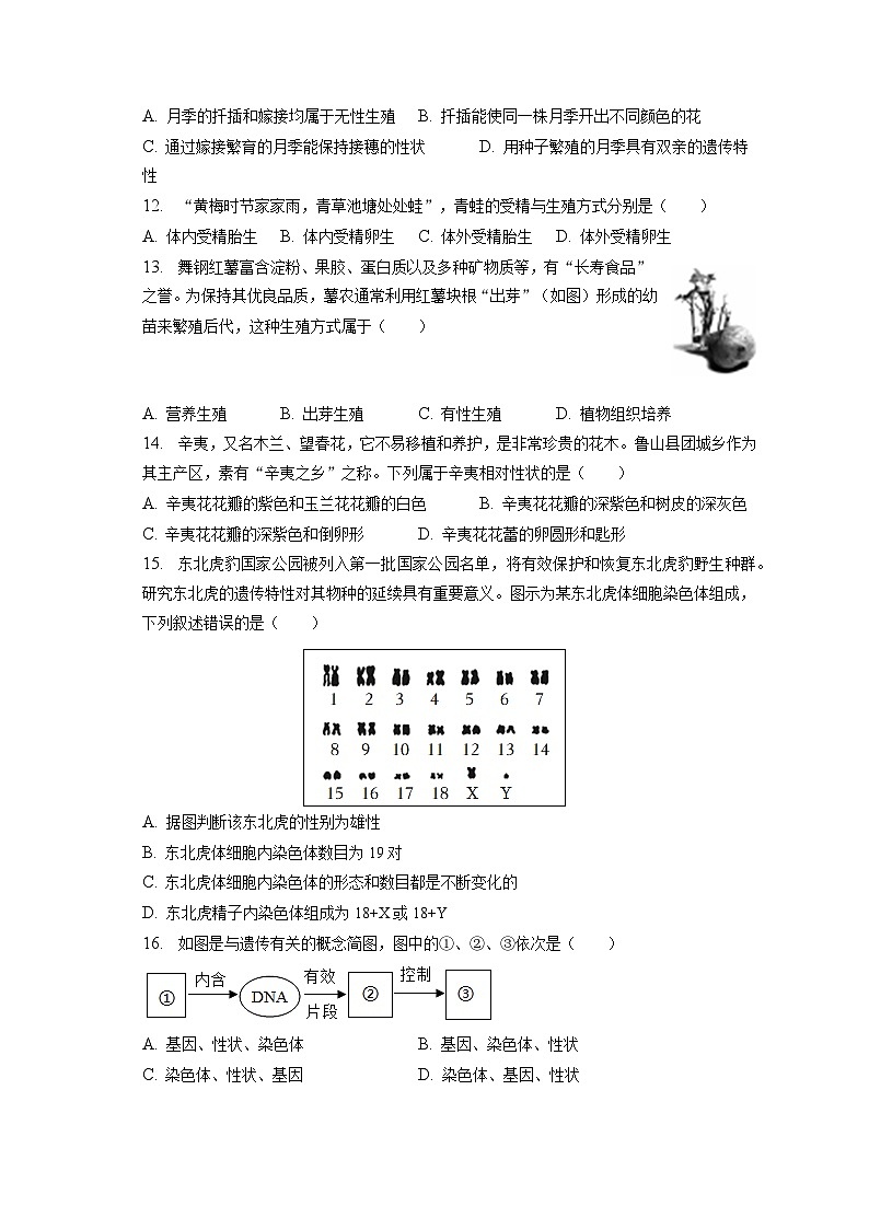 2022-2023学年河南省平顶山市舞钢市八年级（上）期末生物试卷（含解析）03