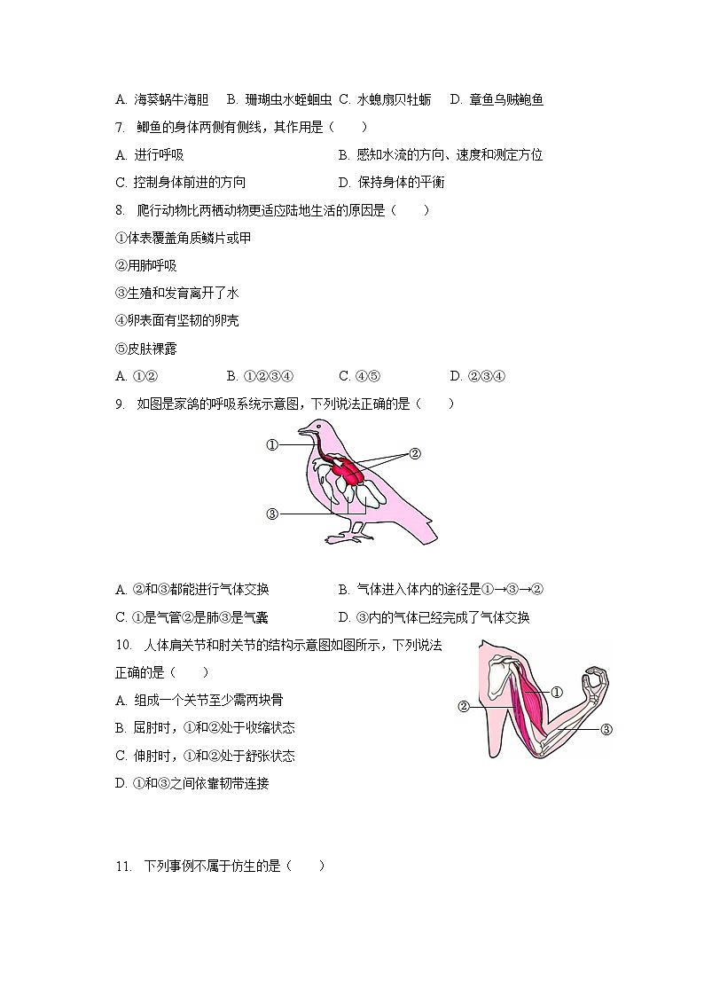 2022-2023学年河南省周口市商水县希望初级中学八年级（上）期末生物试卷（含解析）第2页