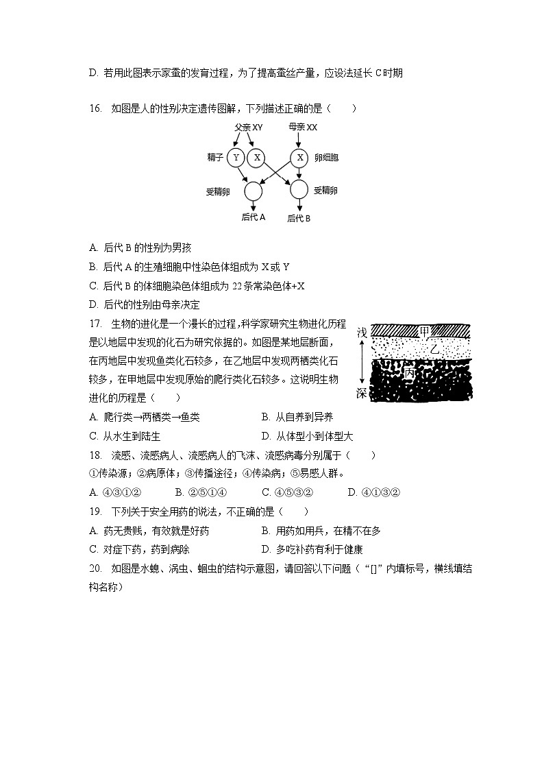 2022-2023学年河南省驻马店市泌阳县八年级（上）期末生物试卷（含解析）第3页