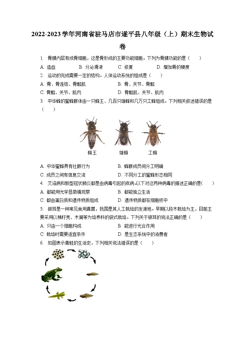 2022-2023学年河南省驻马店市遂平县八年级（上）期末生物试卷（含解析）第1页