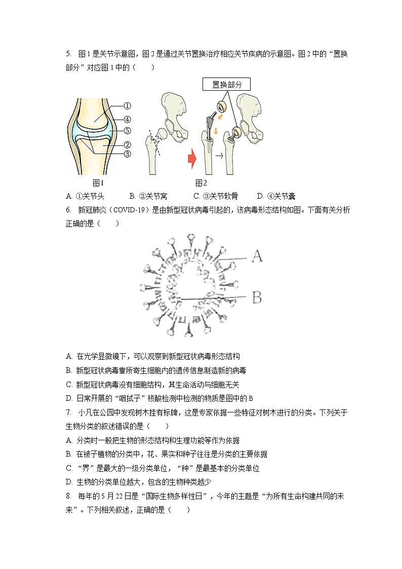 2022-2023学年湖北省黄冈市八年级（上）期末生物试卷（含解析）第2页