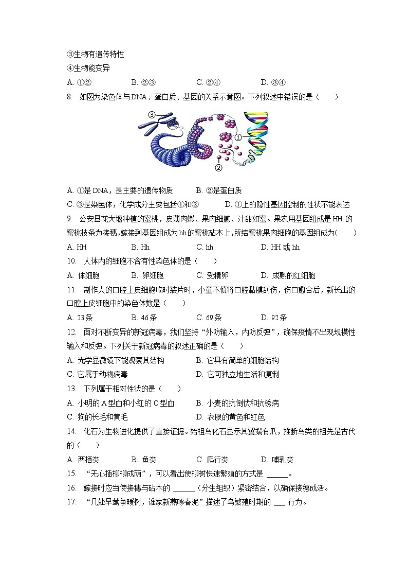 2022-2023学年湖北省荆州市公安县八年级（上）期末生物试卷（含解析）02