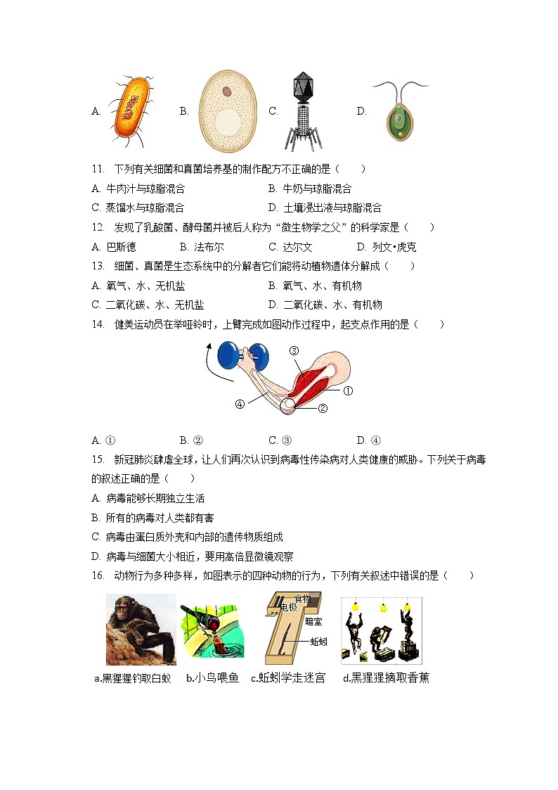 2022-2023学年吉林省长春市朝阳区八年级（上）期末生物试卷（含解析）02