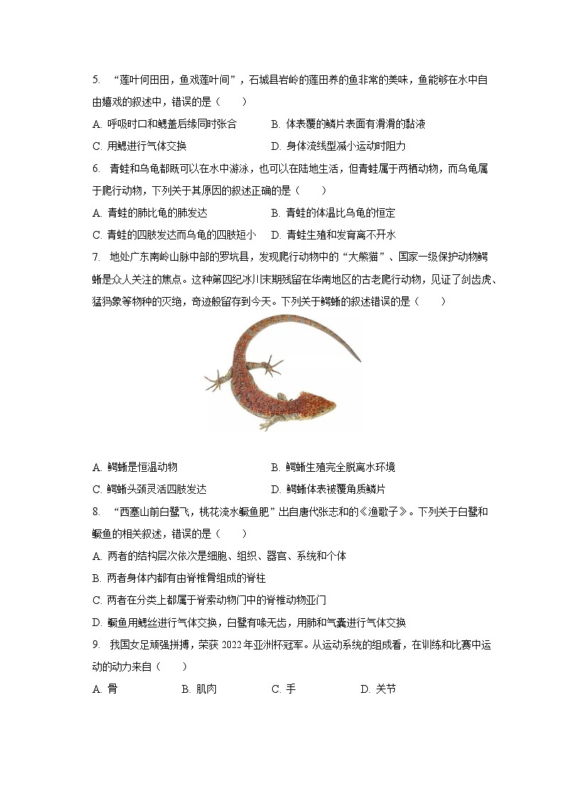 2022-2023学年江西省赣州市石城县八年级（上）期末生物试卷（含解析）02