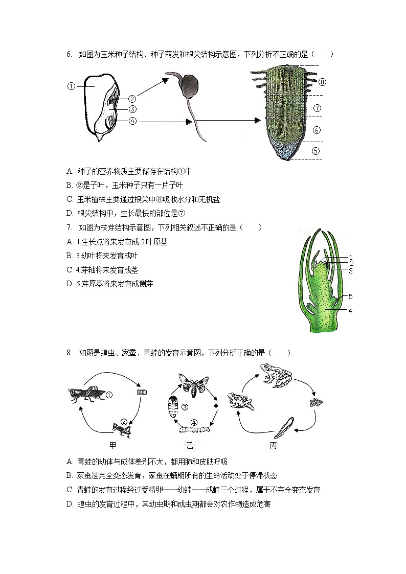 2022-2023学年山东省济南市市中区八年级（上）期末生物试卷（含解析）02