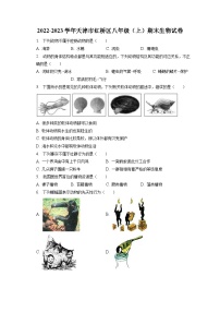 2022-2023学年天津市红桥区八年级（上）期末生物试卷（含解析）