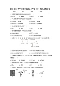 2022-2023学年北京市海淀区八年级（下）期中生物试卷（含解析）