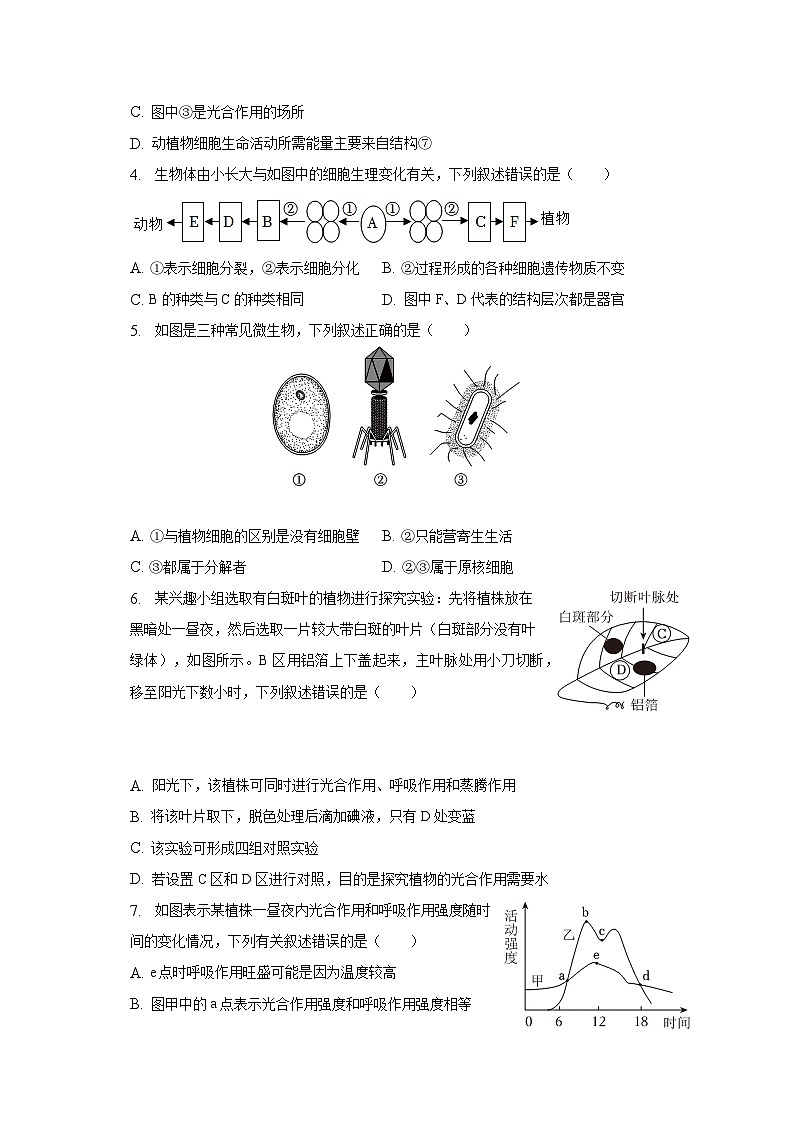 2022-2023学年山东省滨州市滨城区八年级（下）期中生物试卷（含解析）02