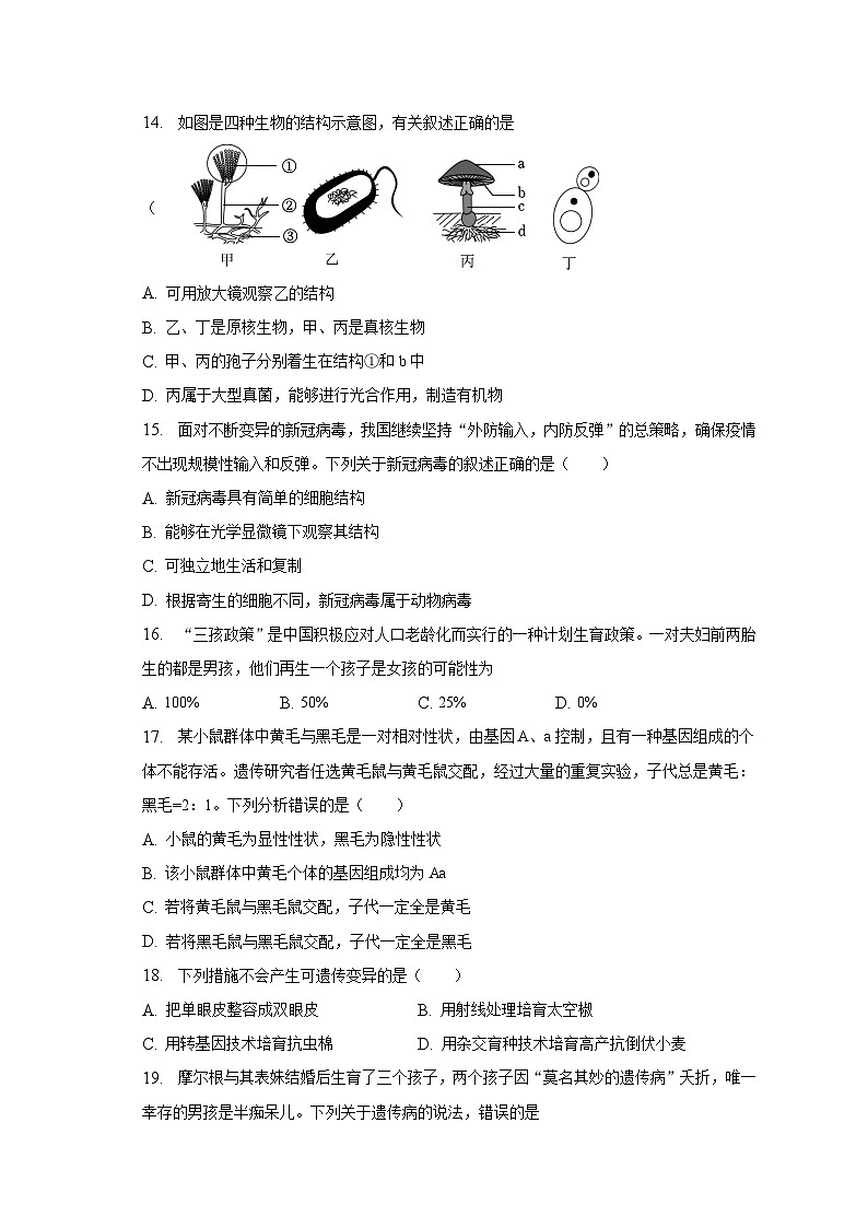 2022-2023学年四川省眉山市东坡区苏洵中学八年级（下）期中生物试卷（含解析）03