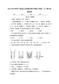 2022-2023学年广西崇左市扶绥县育才学校七年级（下）期中生物试卷（含解析）