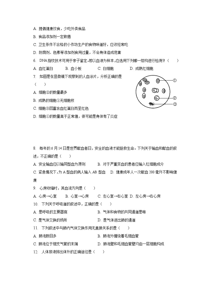 2022-2023学年广西崇左市扶绥县育才学校七年级（下）期中生物试卷（含解析）02