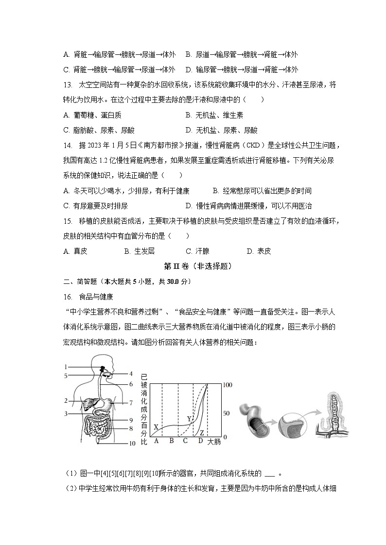 2022-2023学年广西崇左市扶绥县育才学校七年级（下）期中生物试卷（含解析）03