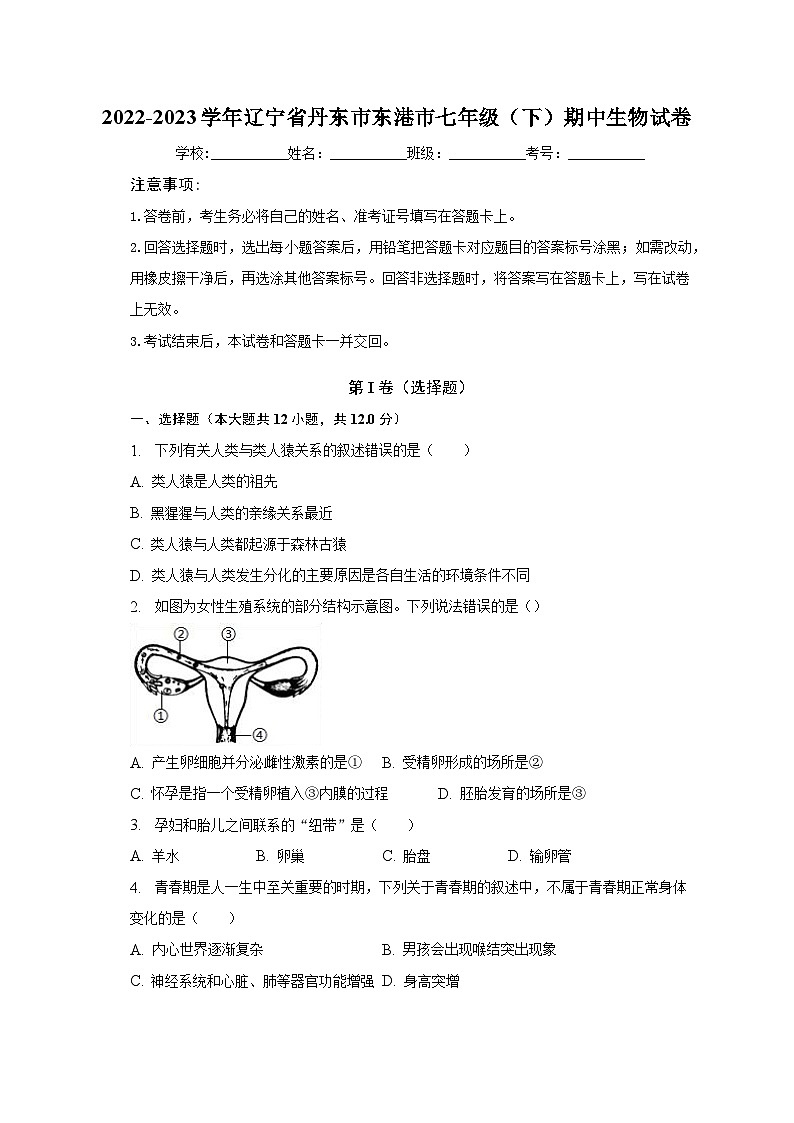 2022-2023学年辽宁省丹东市东港市七年级（下）期中生物试卷（含解析）第1页
