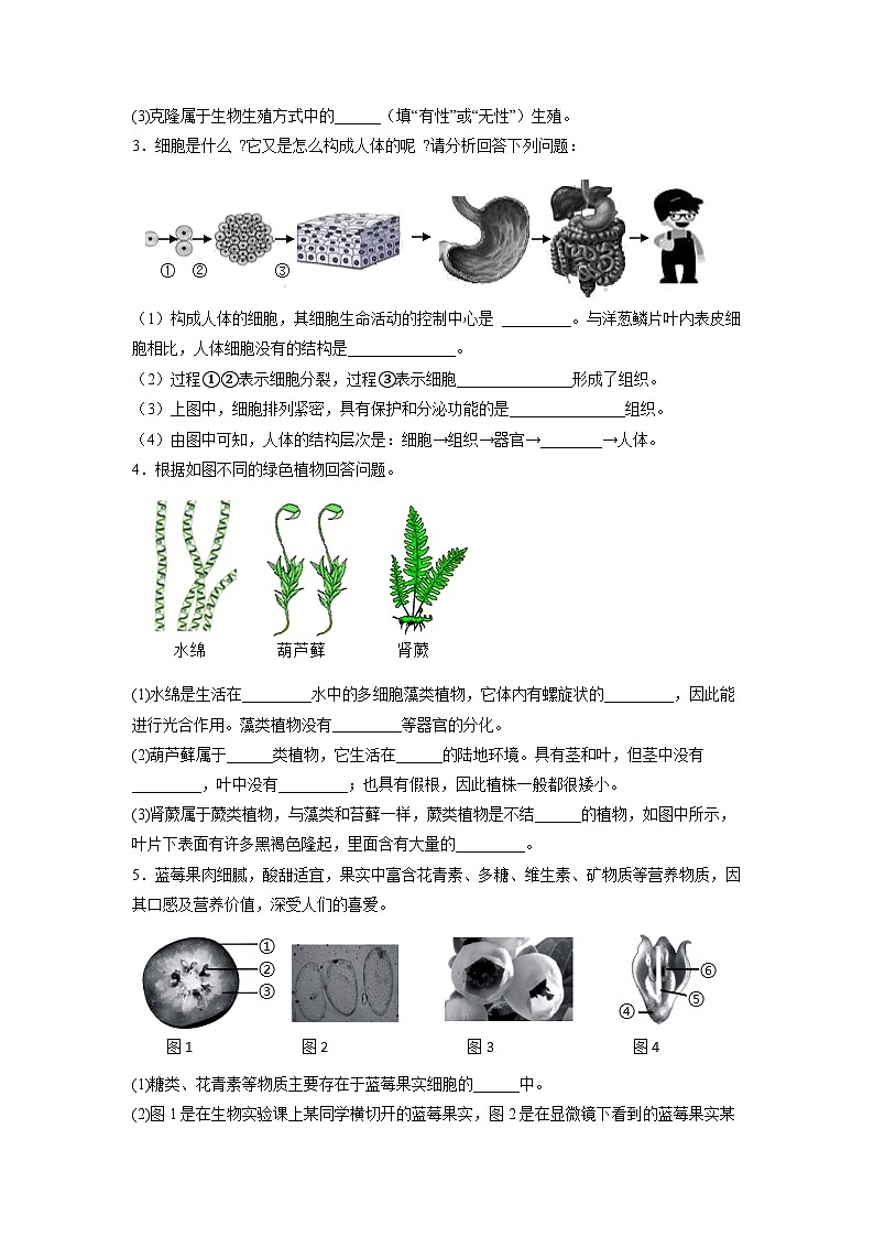专练05（能力闯关识图填空30题）-备战2022年中考生物考前必杀200题（山东专用）（原卷版）第2页