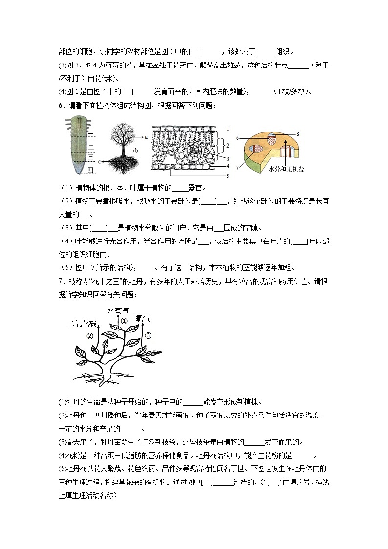 专练05（能力闯关识图填空30题）-备战2022年中考生物考前必杀200题（山东专用）（原卷版）第3页