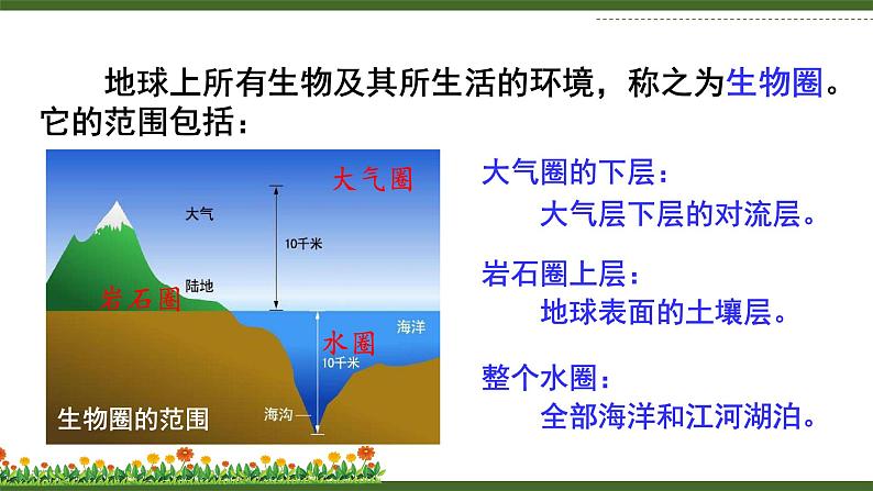 北师大版七年级生物上册课件 1.1 形形色色的生物05