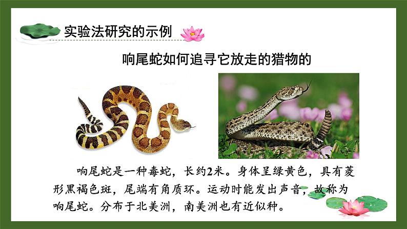 北师大版七年级生物上册课件 2.2 生物学研究的基本方法第3页