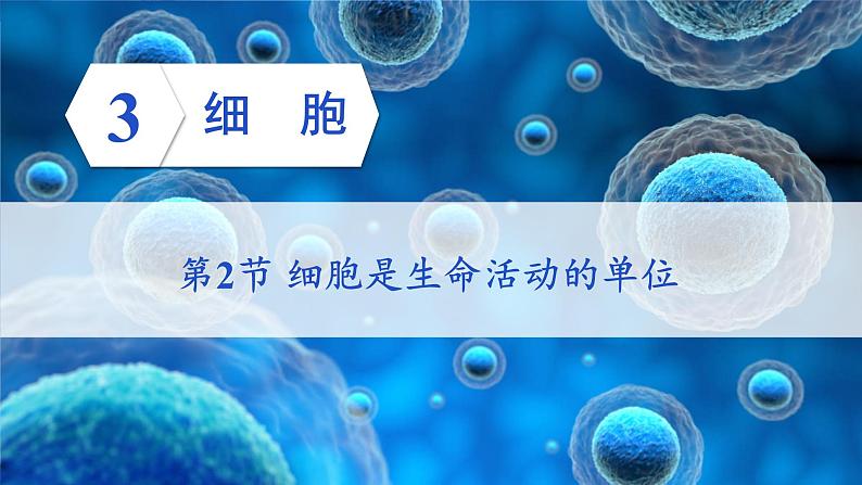 第2节 细胞是生命活动的单位第1页