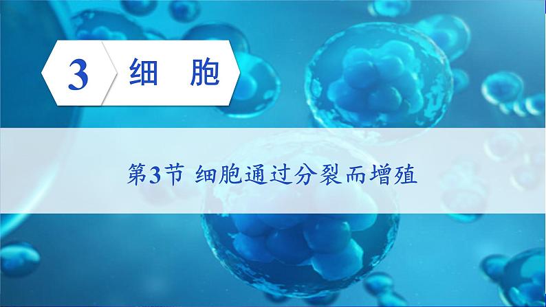 北师大版七年级生物上册课件 3.3 细胞通过分裂而增殖01