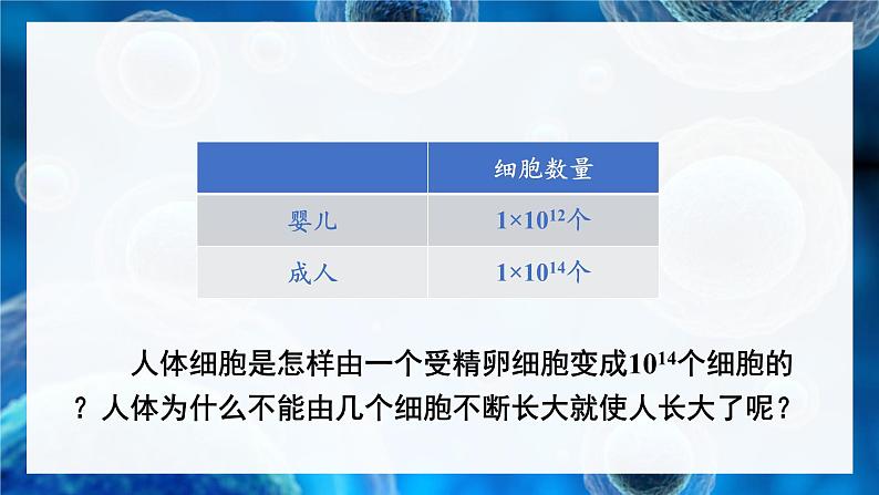 北师大版七年级生物上册课件 3.3 细胞通过分裂而增殖03