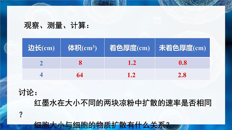 北师大版七年级生物上册课件 3.3 细胞通过分裂而增殖08